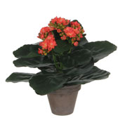 Planta Artificial - Kalanchoe Laranja - MICA